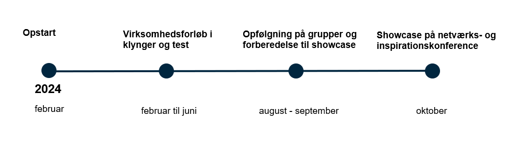 Tidsplan 2024