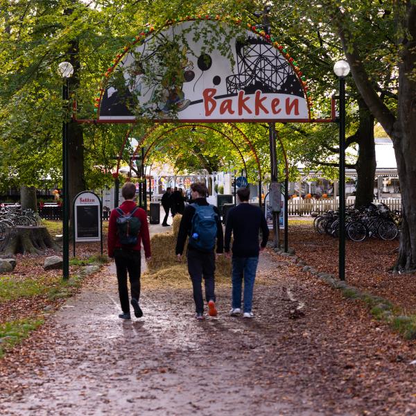 Dyrehavsbakken
