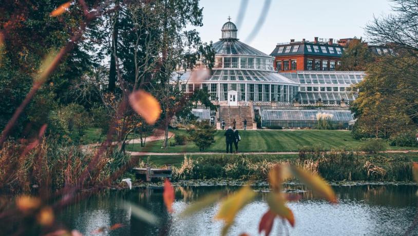 Botanical Garden in Copenhagen in autumn