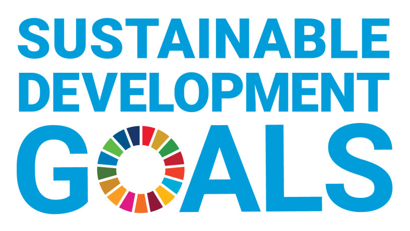 The UN Sustainable Develop goals - Logo