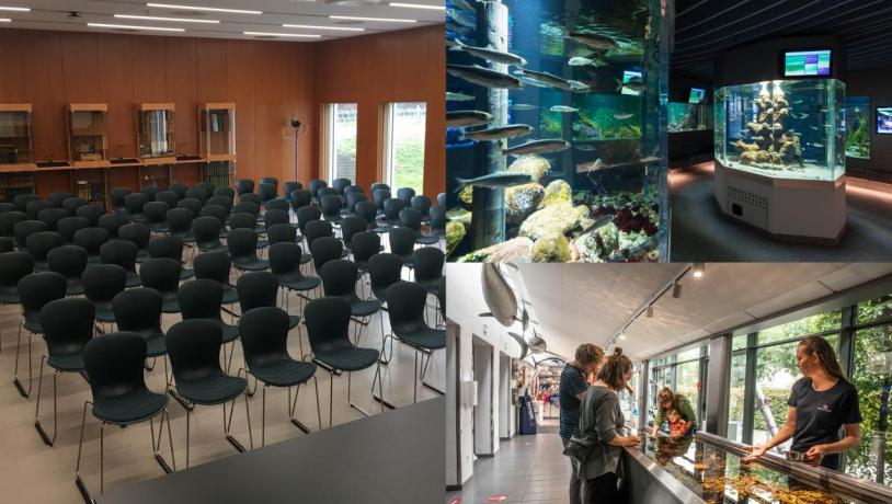 the øresund aquarium elsinore meetings events