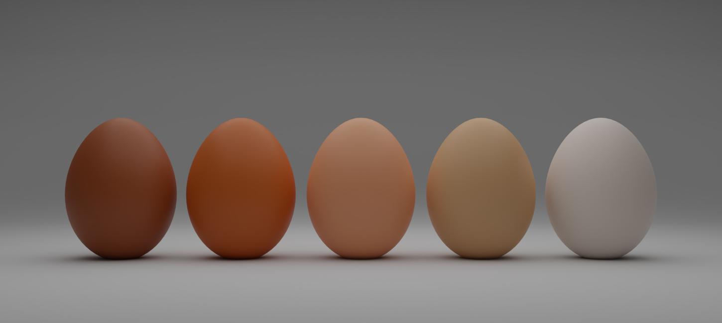 æg