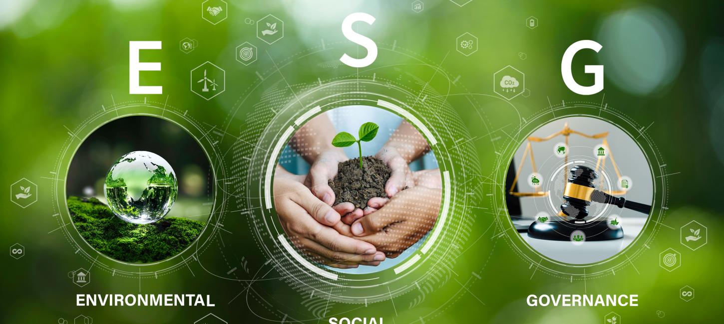 Webinar ESG