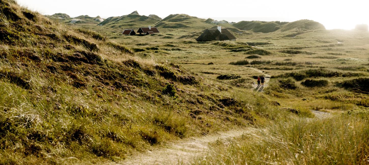 Skagen