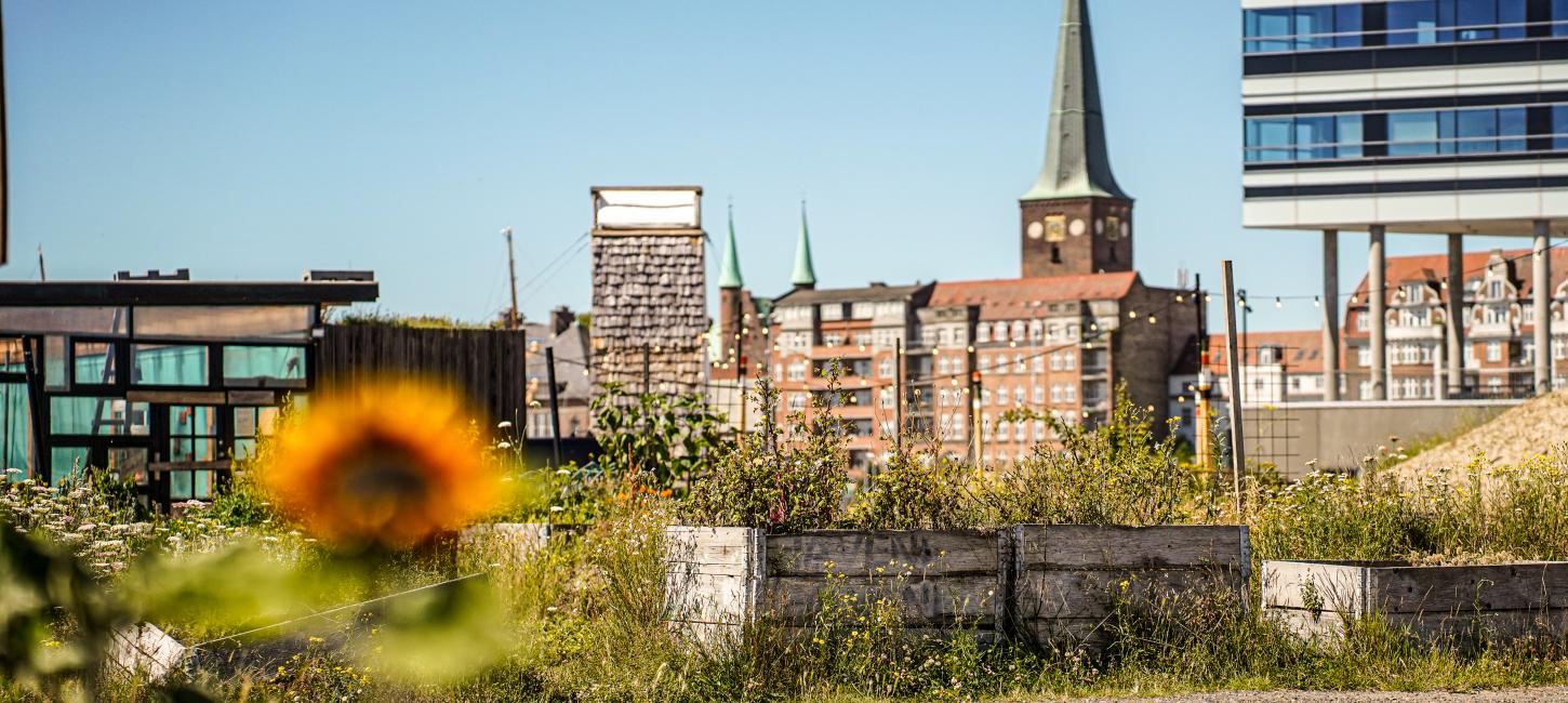 Pier2 Aarhus