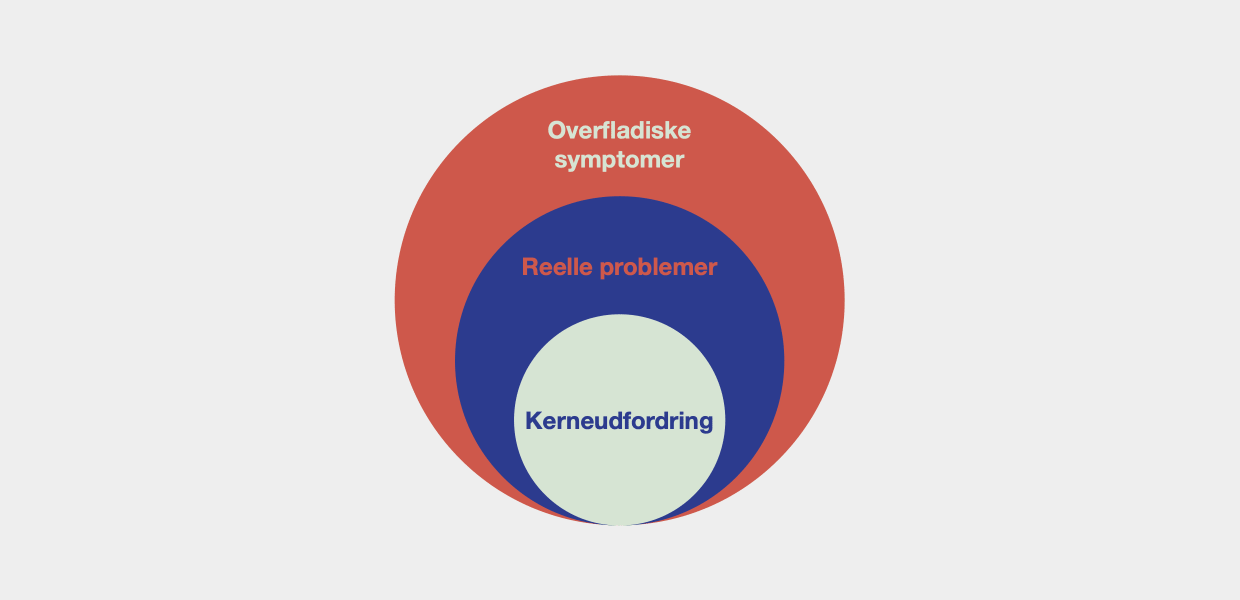 MOSAIK - find kerneudfordringen