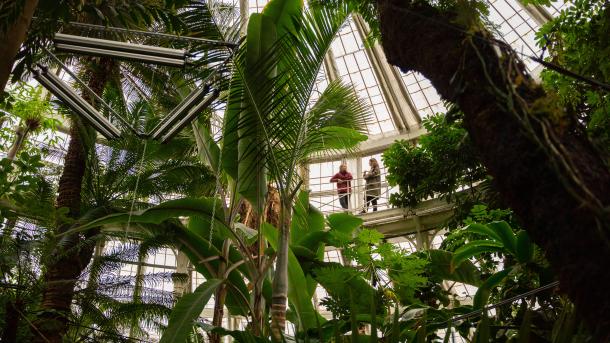 Botanisk have