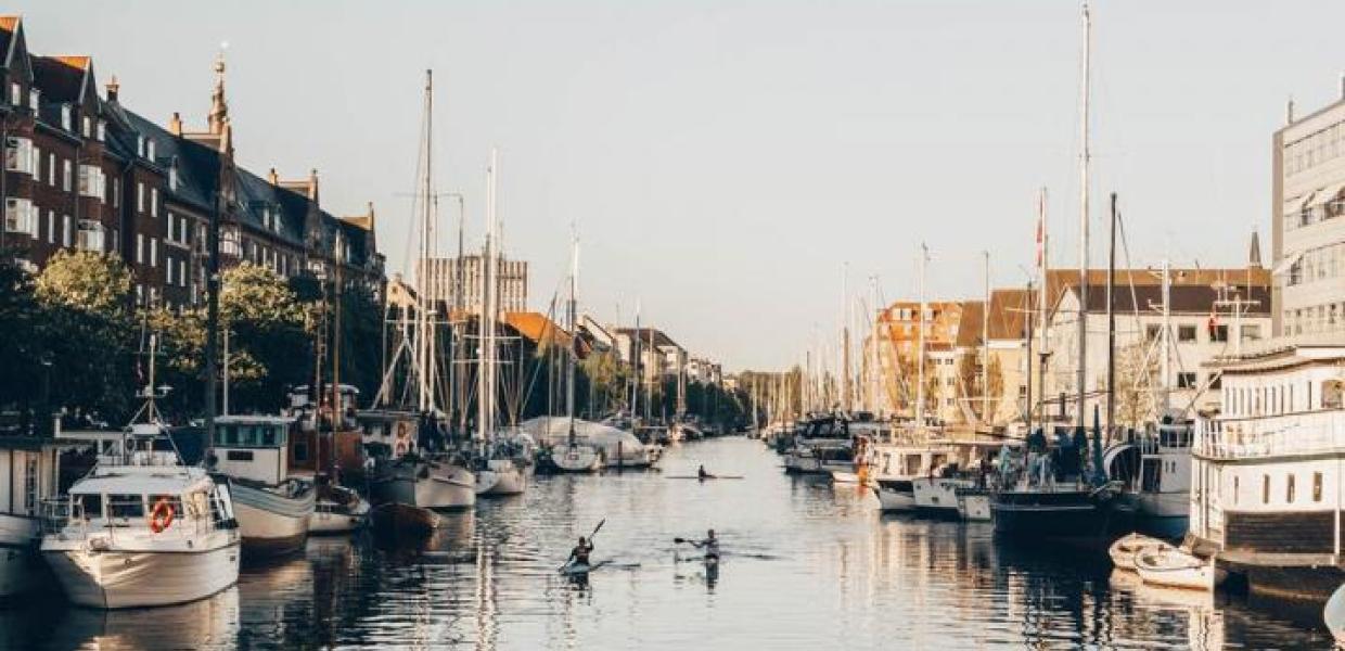 Kayaks in the canals of Copenhagen