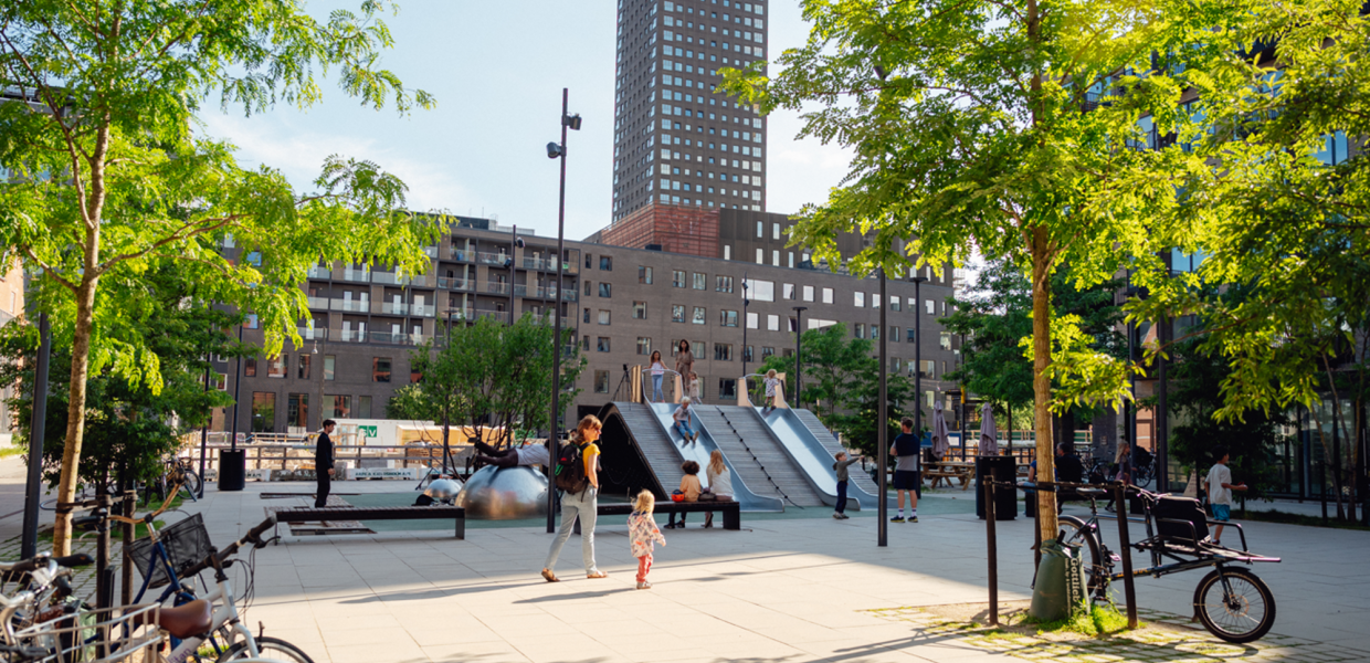 Cultigen Projects