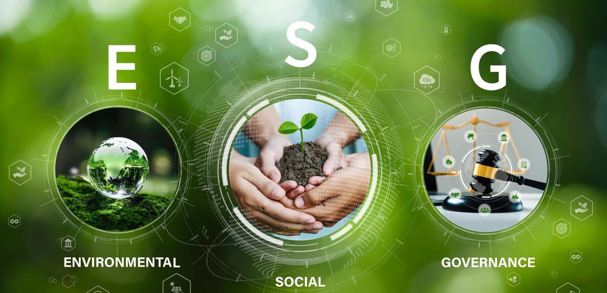 Webinar ESG