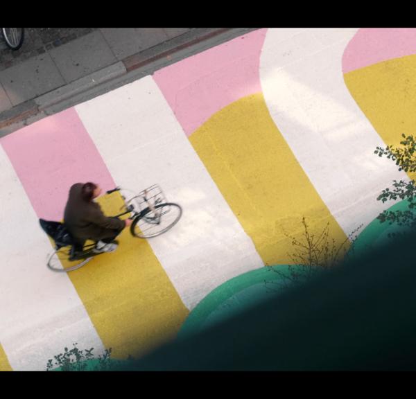 Mand cykler over fodgængerfelt 