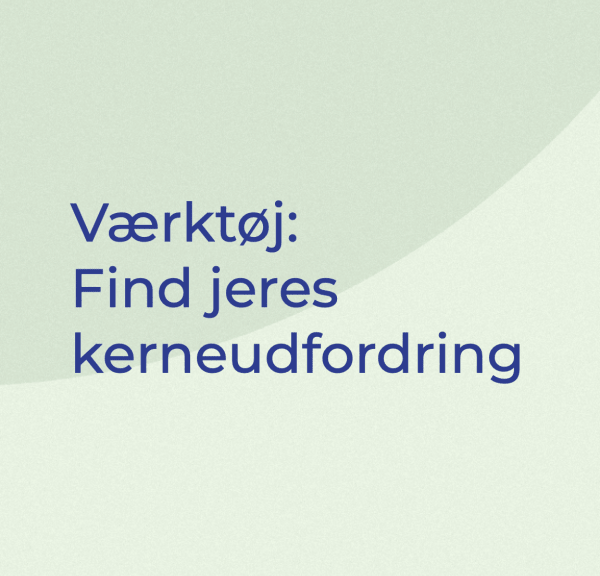 MOSAIK - find jeres kerneudfordring