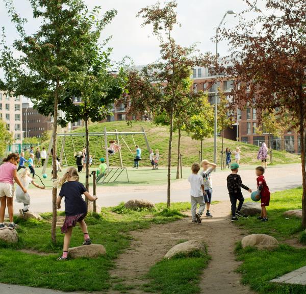 Cultigen Neighbourhood Level Solutions