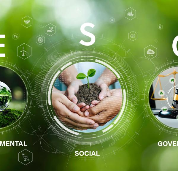 Webinar ESG