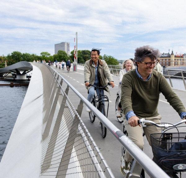 billede 7 meetdenmark