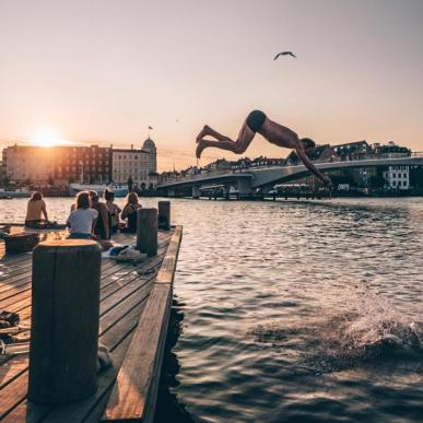 Evening swim in Copenhagen harbour