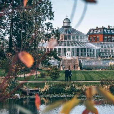 Botanical Garden, Autumn