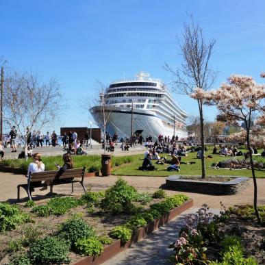 Cruise ship in Aalborg 