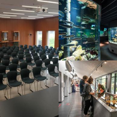 the øresund aquarium elsinore meetings events