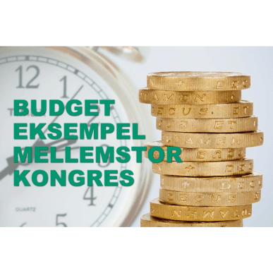 Budget skabelon mellemstor kongres eksempel