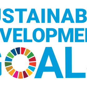 The UN Sustainable Develop goals - Logo